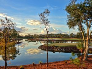 Calusa Pines 16th Reflection